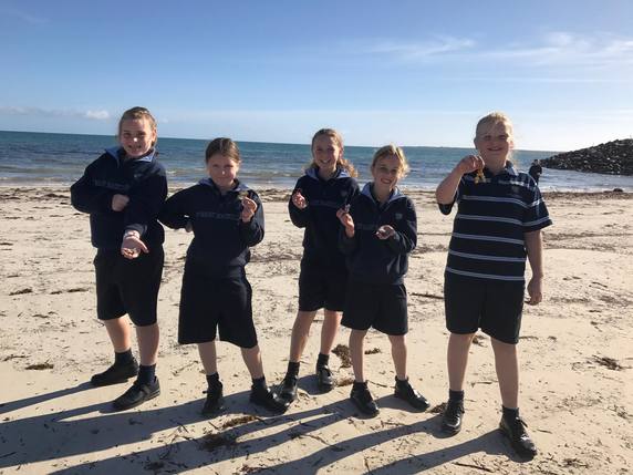 Pirie Diocese - Switch off day.jpg