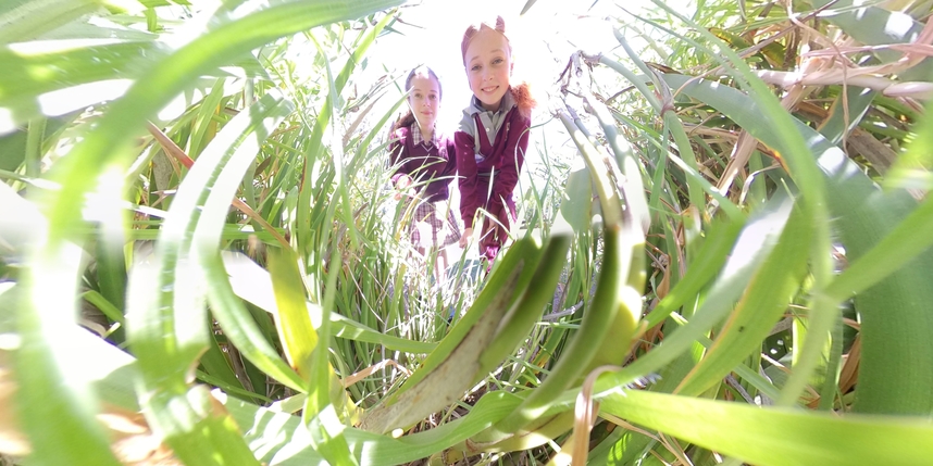 Amelia_Scarlett through plant 2_IMG_20210329_133444_00_429_2021-04-06_09-28-23_screenshot.jpg