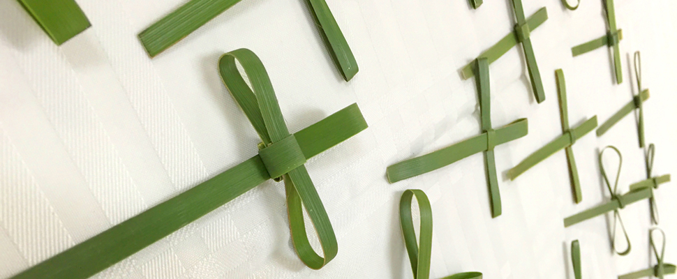 Mary Mackillop Crosses.jpg