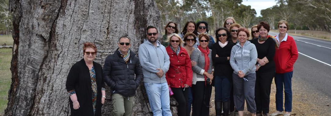 Staff at Tree cropped.jpg