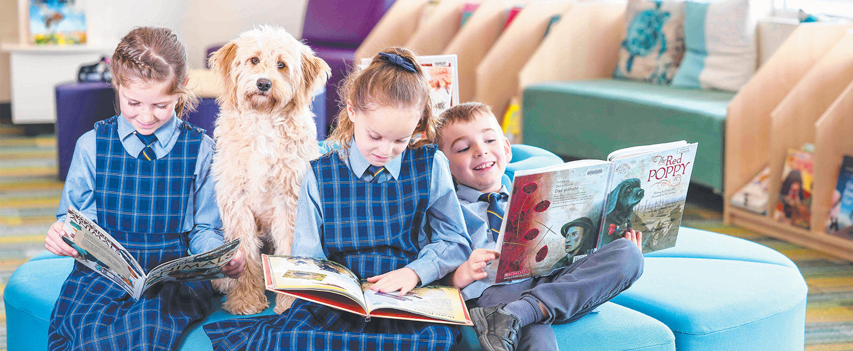 Puppy Love_Banner.jpg Puppy Love_Banner.jpg